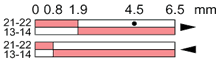 Ls35p10b11