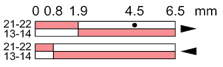 Ls35p11b11