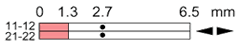 Ls35p11l02
