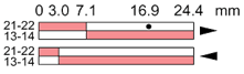 Ls35p30b11