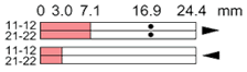 Ls35p31b02