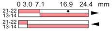 Ls35p31b11