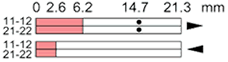 Ls35p32b02