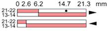 Ls35p32b11