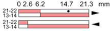Ls35p34b11
