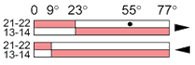 Ls35p41b11