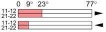 Ls35p42b02