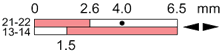 Ls45p11c11